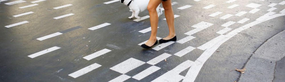 compte_rebours_feux_pietons_sauver_mon_permis