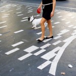 compte_rebours_feux_pietons_sauver_mon_permis